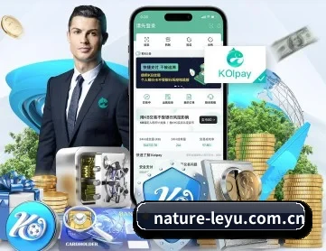 乐鱼 APP 深度功能(leyu)